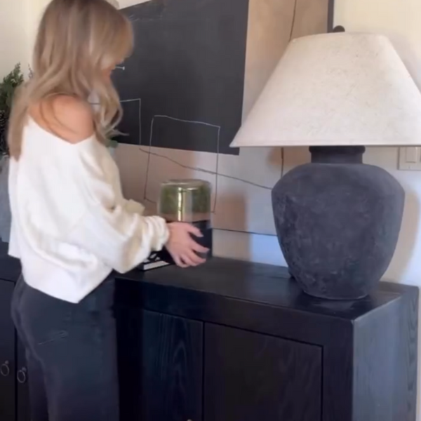 Briiv Air Purifier - Clean Air & Eco-Certified