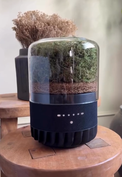 Briiv Air Purifier - Simple Setup