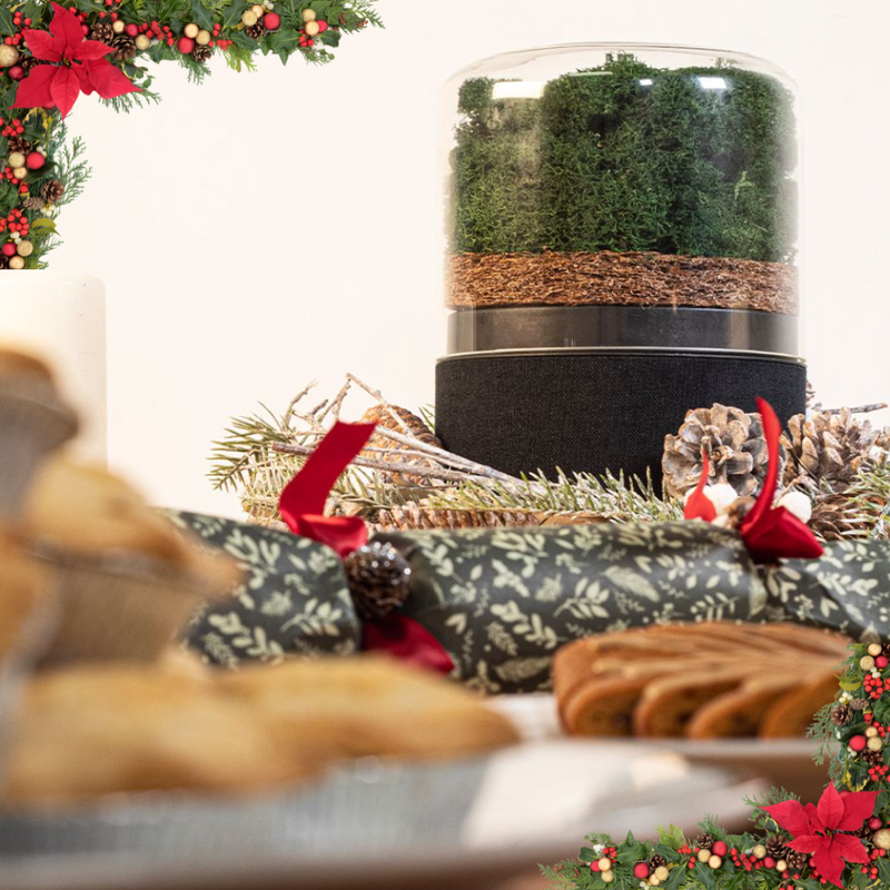 Briiv Removes Cooking Odours Fast!