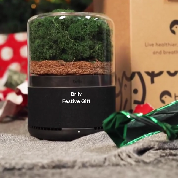 Briiv Healthy Holiday Gift