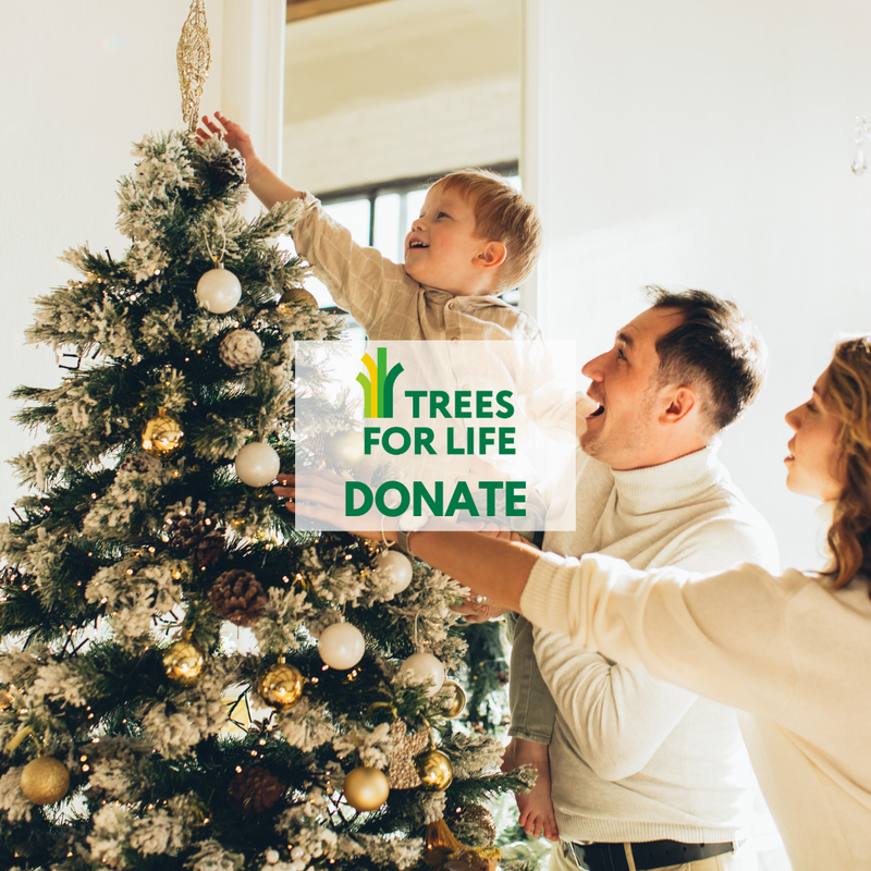 Trees For Life - Donate