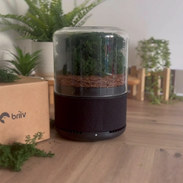 Briiv Eco-Friendly Air Filters