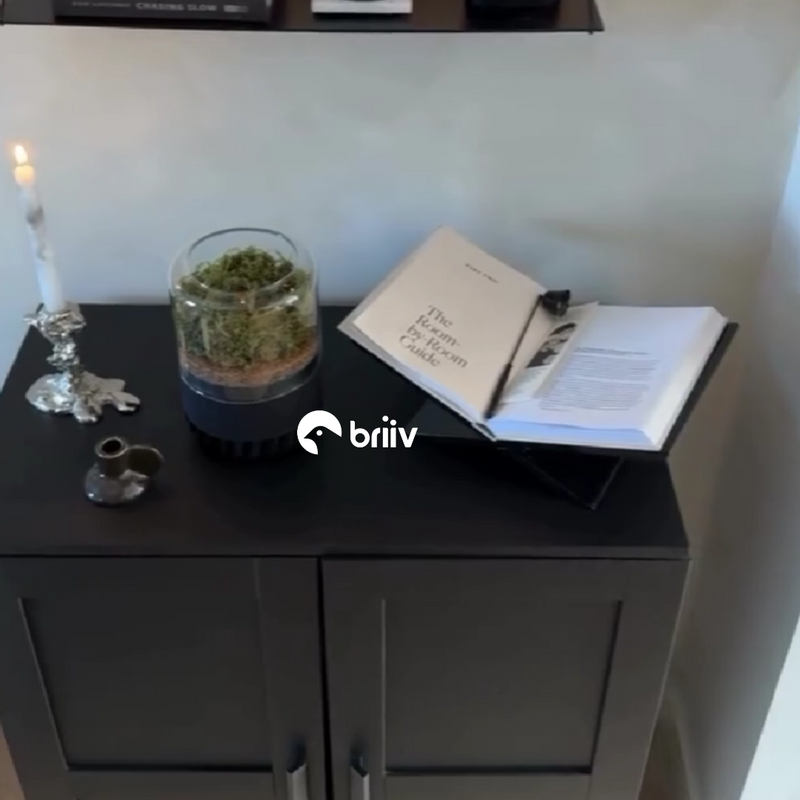 Briiv Air Purifier - Spring is Coming!