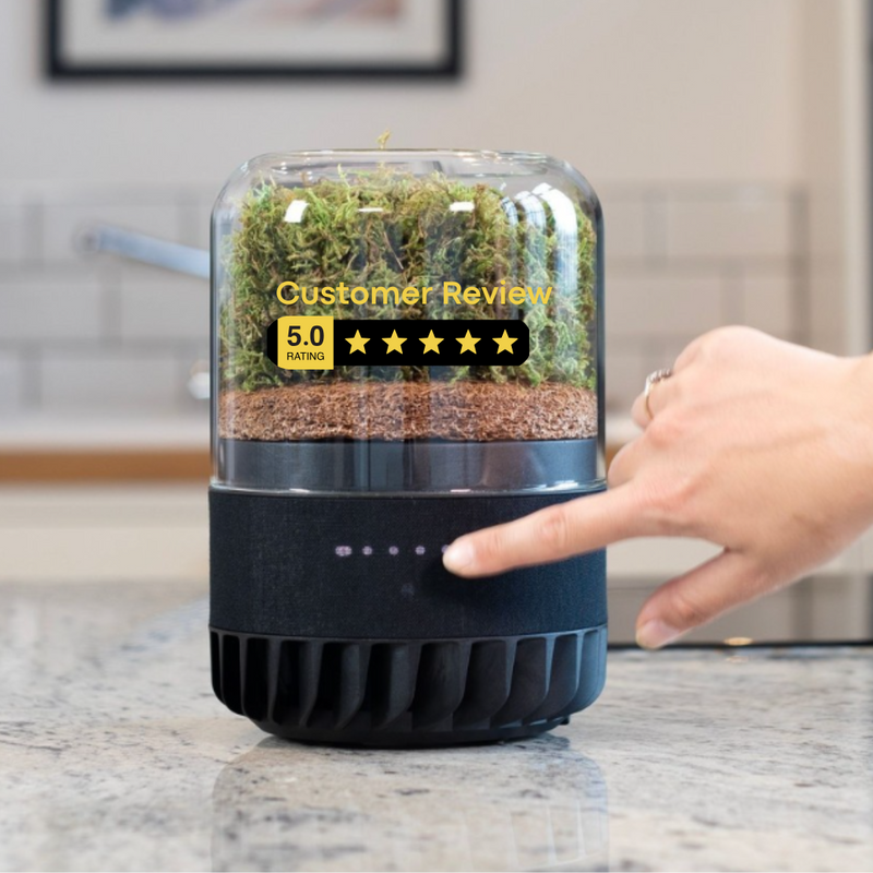 ecoMVMNT Top Notch Service!