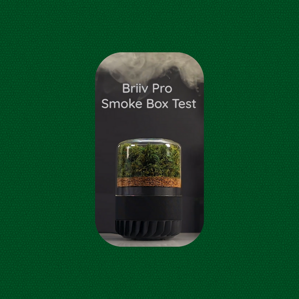 Briiv Air Purifier and Outdoor Pollutants