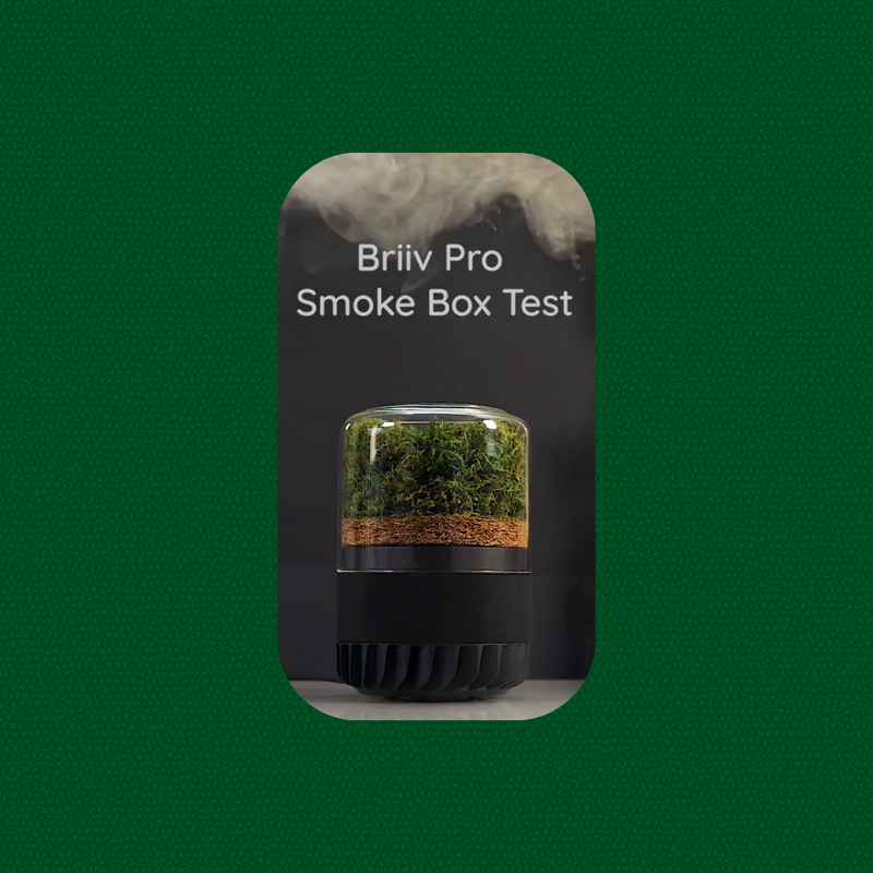 Briiv Air Purifier and Outdoor Pollutants