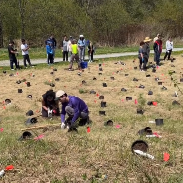 Trees For Life - Planting Across Canada