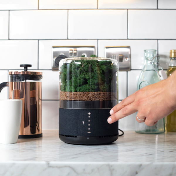 Briiv Air Purifier in Kitchen