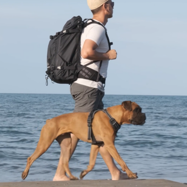 Summer Fitness - Walking Beach & Trails