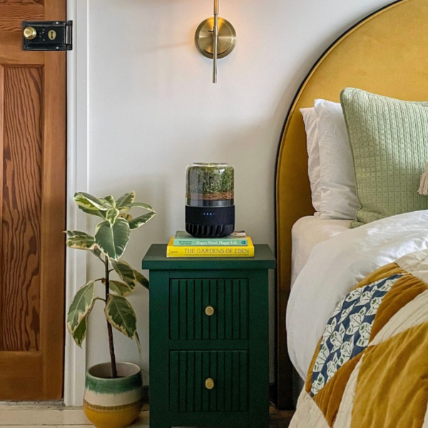 Briiv Air Purifier At Your Bedside