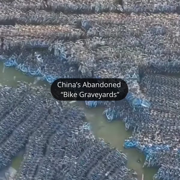 China's Abandoned Bikes