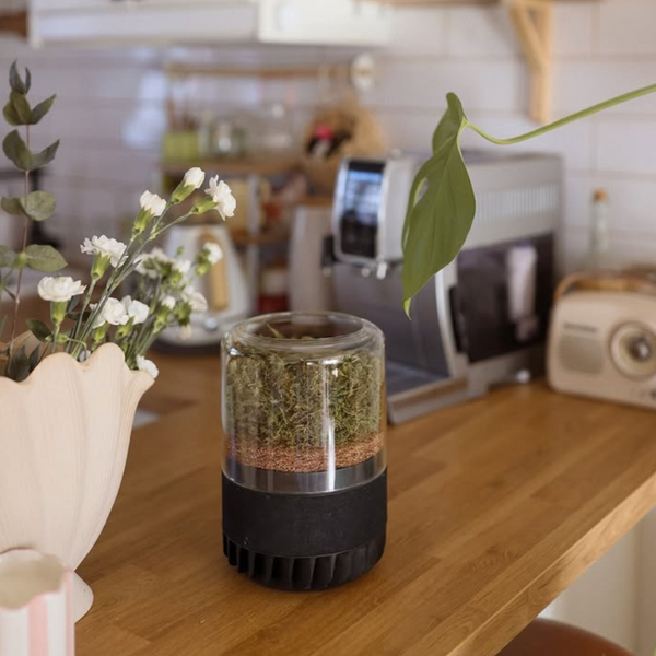 Briiv Air Purifier This Spring