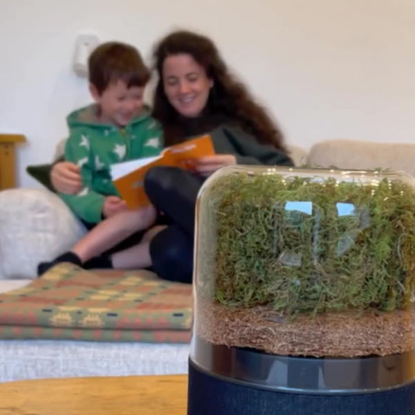 Pollen Season - Briiv Air Purifier