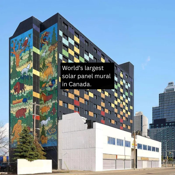 World's Largest Solar Panel