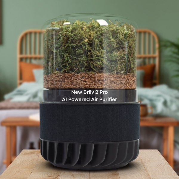 ecoMVMNT Launches New Briiv 2 Pro Air Purfier
