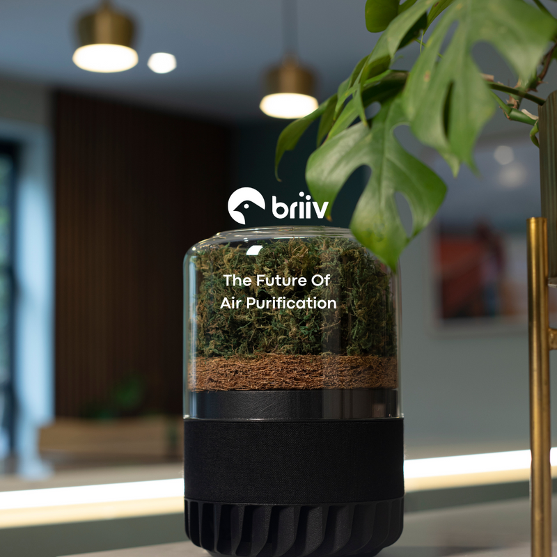 Briiv the Future of Air Purification