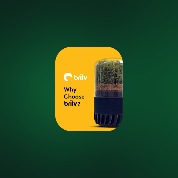 Why Choose Briiv Air Purifier