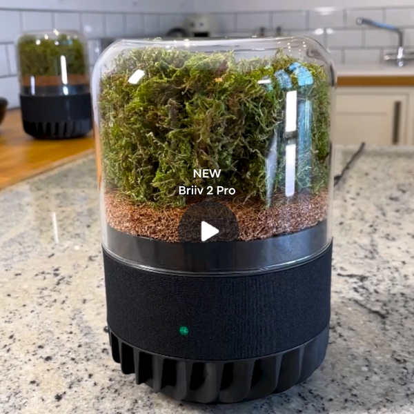 New Briiv 2 Pro Air Purifier