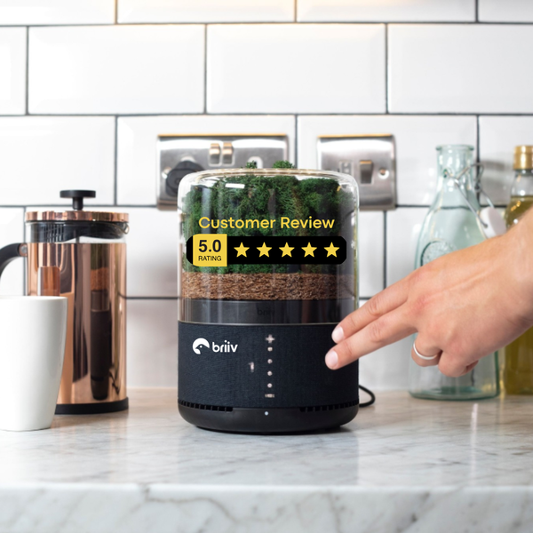 Briiv Air Purifier Customer Review