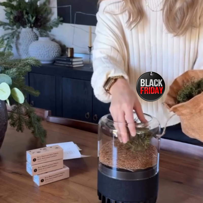 Pre-Black Friday - Briiv 2 Pro Eco Air Purifier