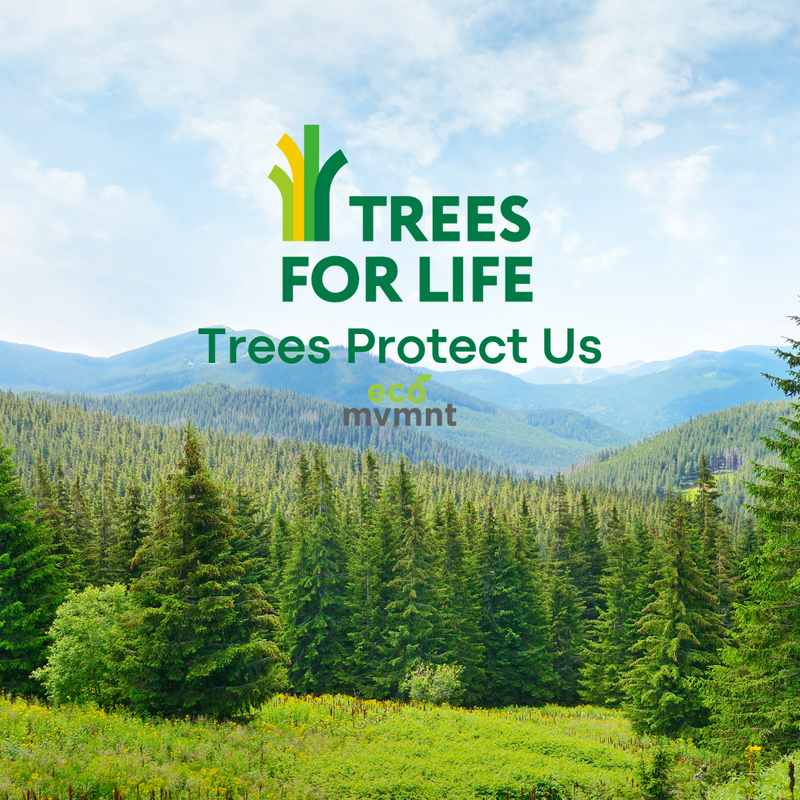 Support Trees For Life