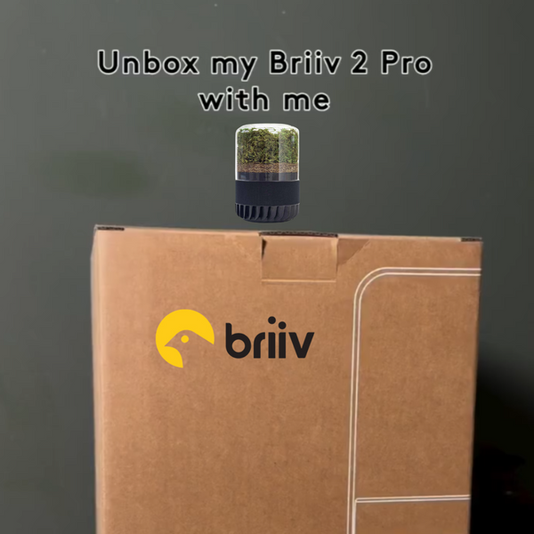Briiv 2 Pro Unboxing