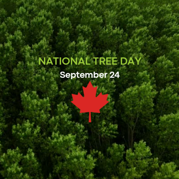 National Tree Day