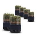 Briiv 2 Eco-Friendly Air Purifiers for Entire Home