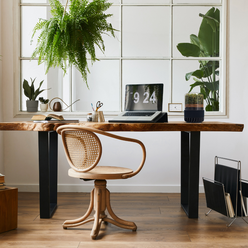 Briiv 2 Pro Eco Air Purifier