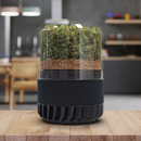 Briiv 2 Eco-Friendly Air Purifiers for Entire Home