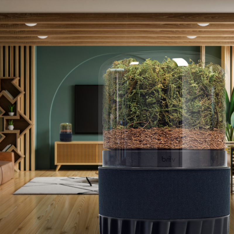 Briiv 2 Pro Eco Air Purifier