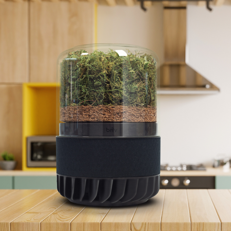 Briiv 2 Pro Eco Air Purifier