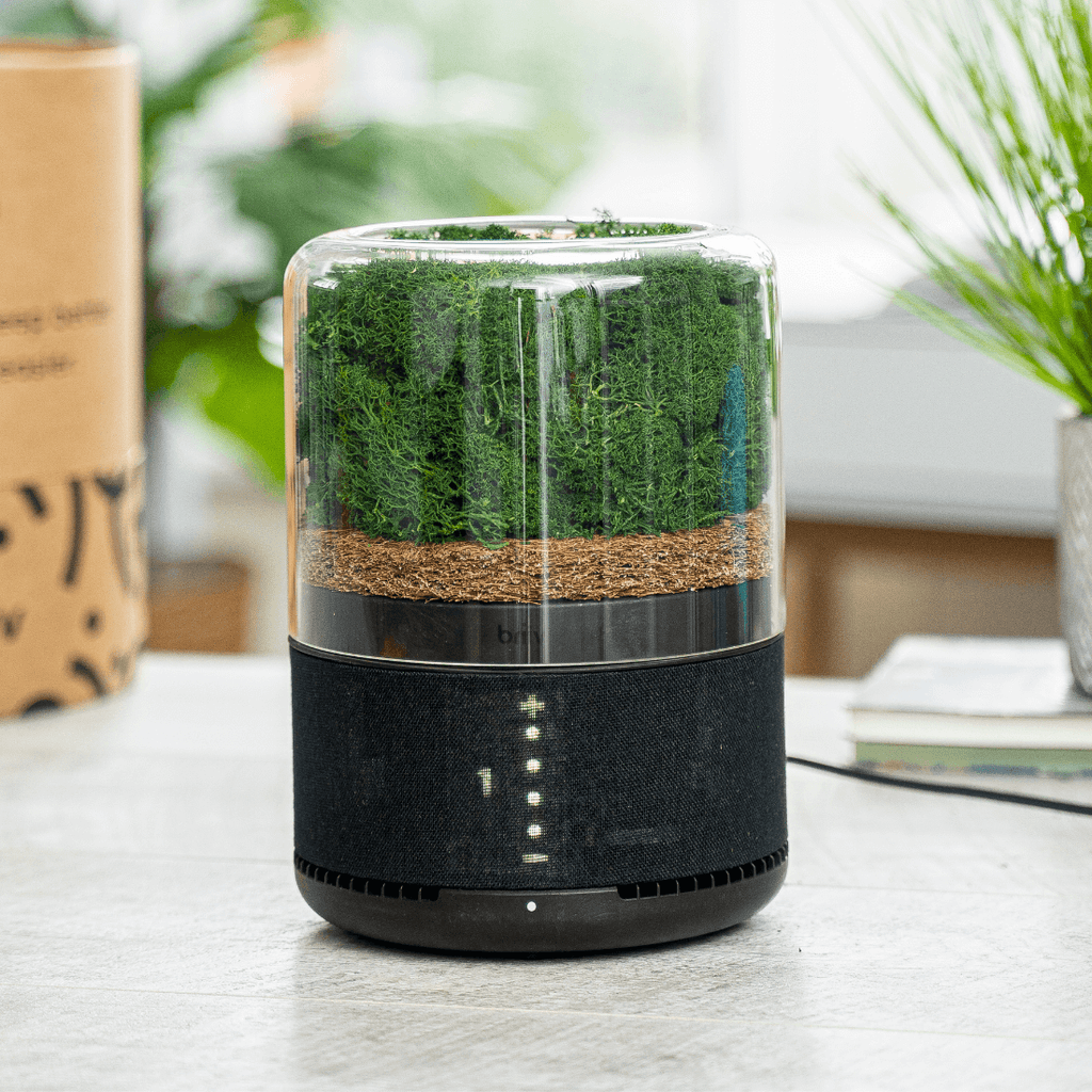 Eco air purifier on sale