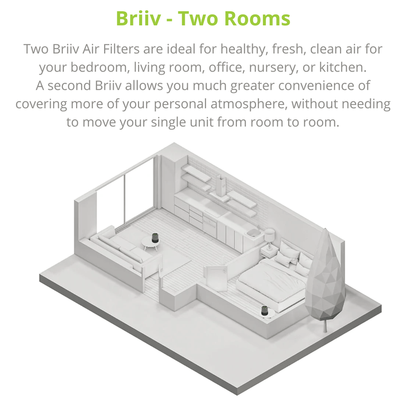 Briiv Air Purifier - 2 Rooms