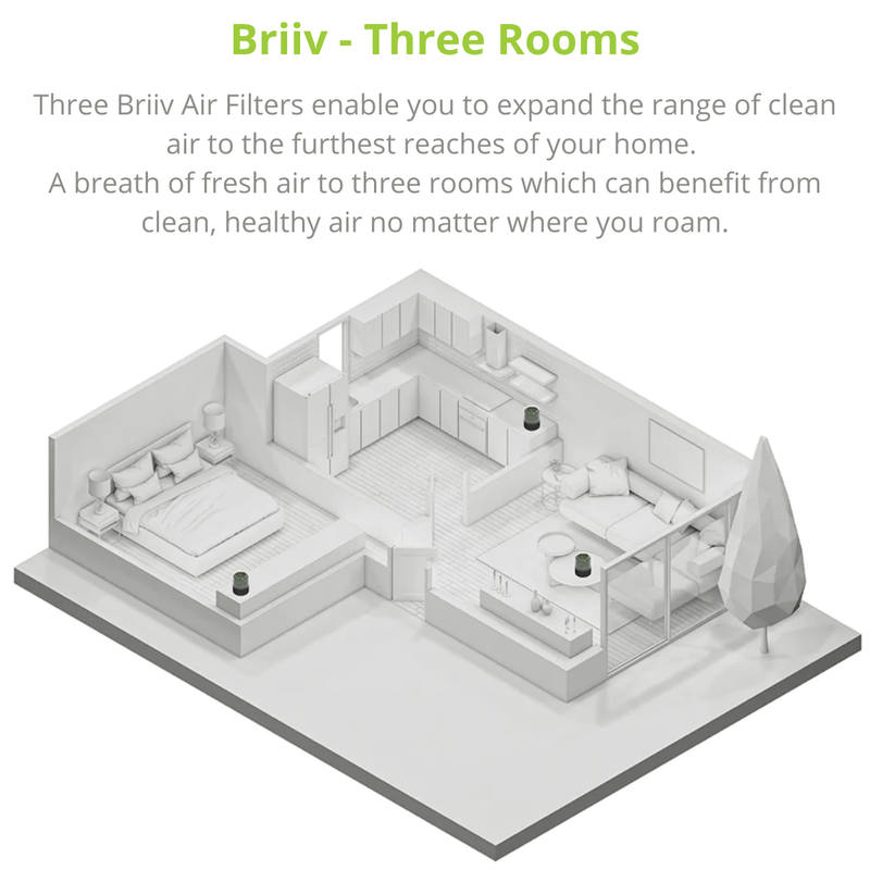 Briiv Air Purifier - 3 Rooms