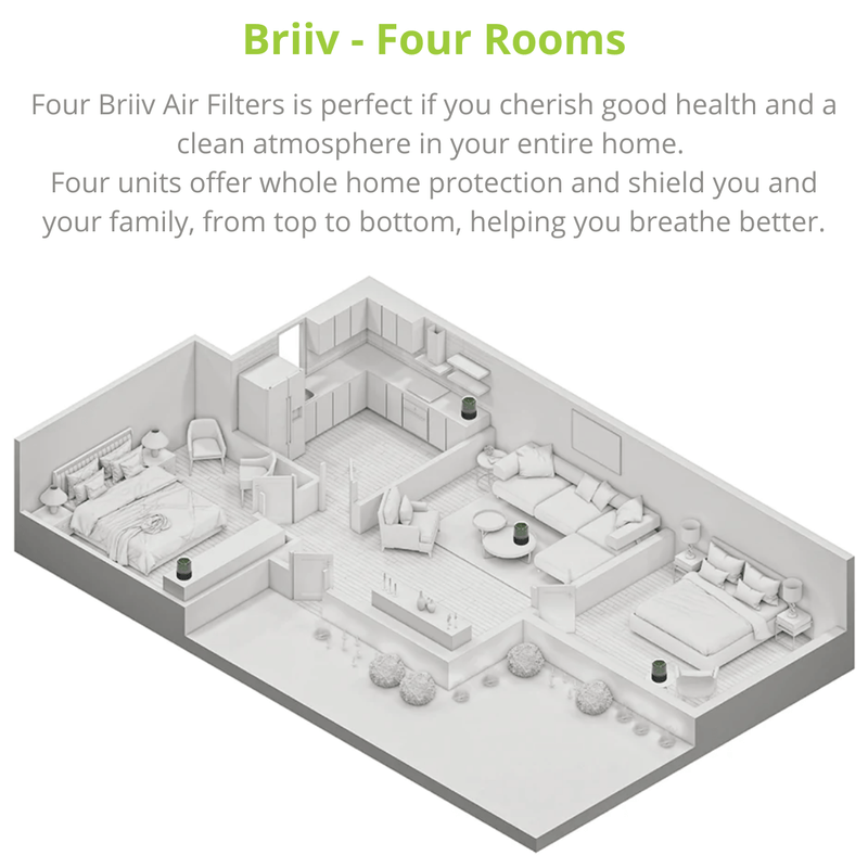 Briiv Air Purifier - 4 Rooms
